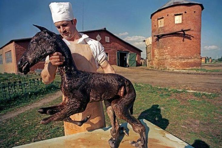 中韩能阻止日本排放核废水吗,日本已经把核废水拖到太平洋了吗