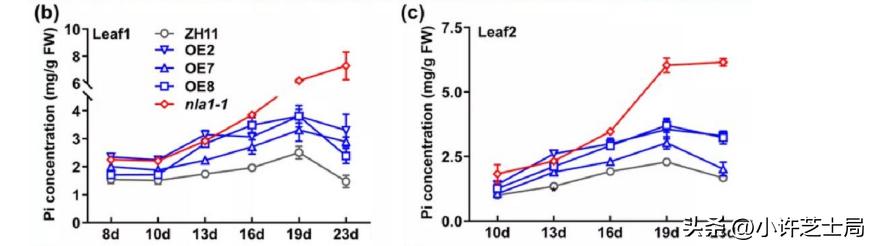 戊唑醇与磷酸二氢钾混用控旺吗,戊唑醇与磷酸二氢钾一起用吗