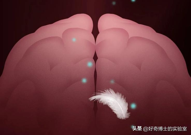 人体敏感器官在哪,人体敏感的部位有哪些