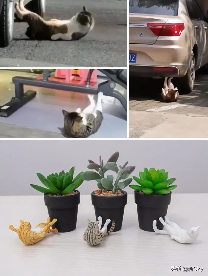 哈哈哈，这个神经手办又双叒更新了，笑惨我了