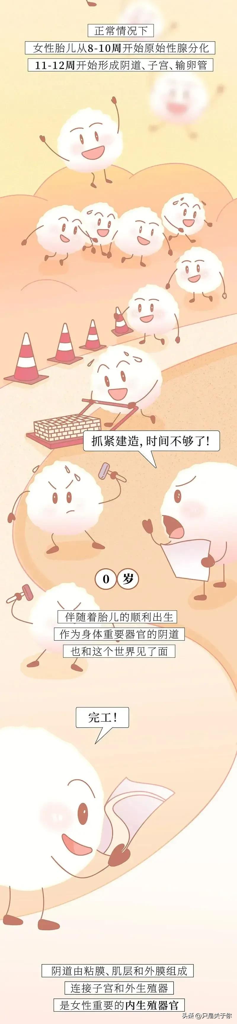 这是一篇关于女生阴道的科普漫画！