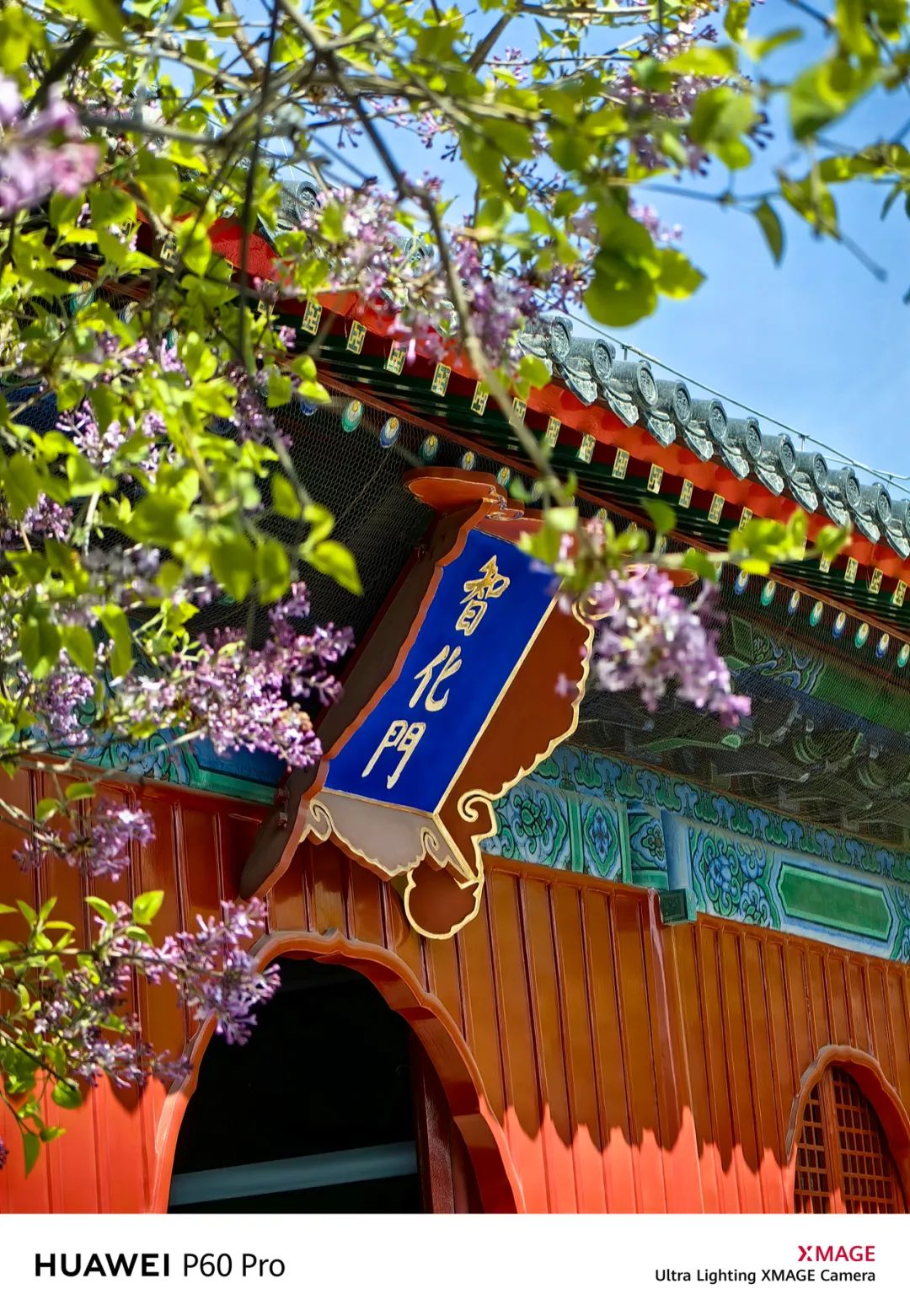 华为p60pro拍照样张原图,华为p60pro拍摄照片样张