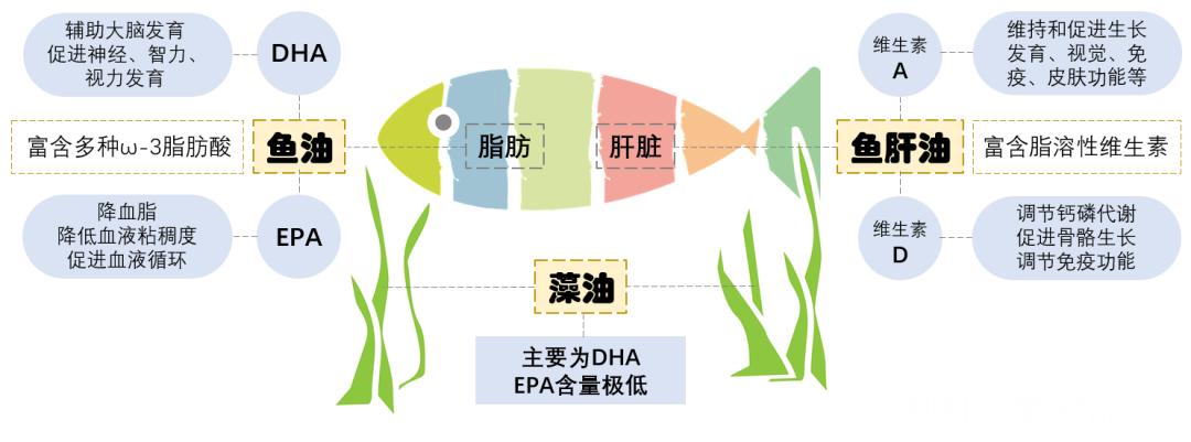 DHA到底是不是智商税？这是一篇正经科普