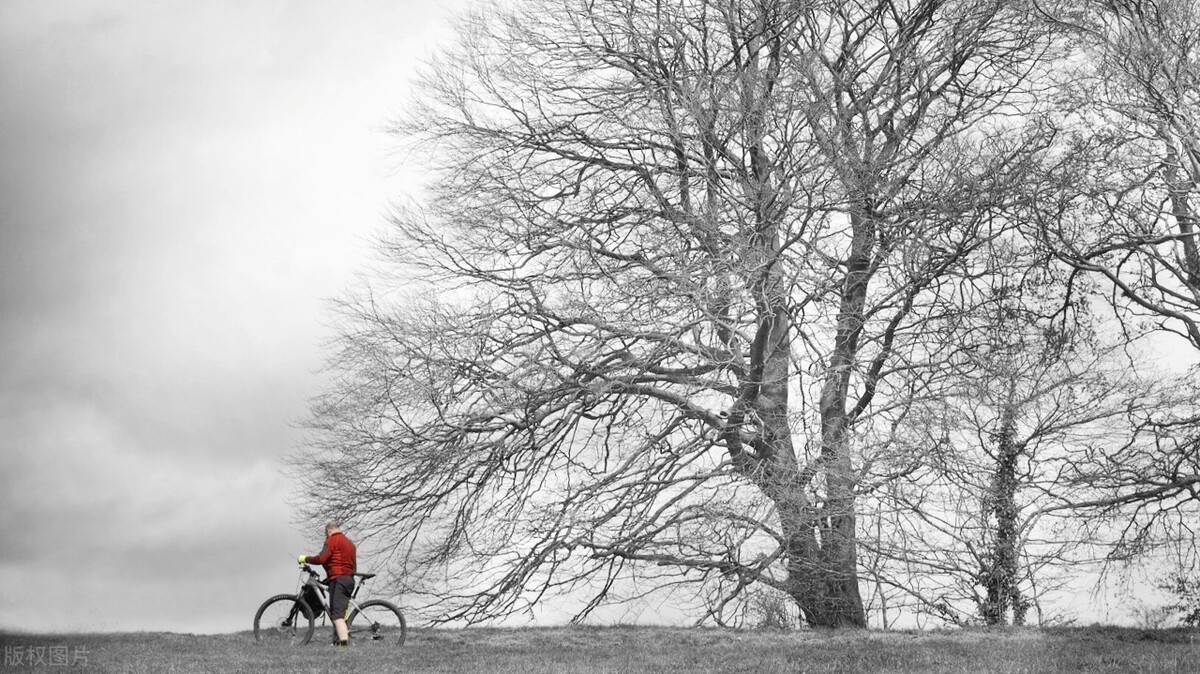 微信一句话个性签名静心句子,微信个性签名短句干净努力正能量