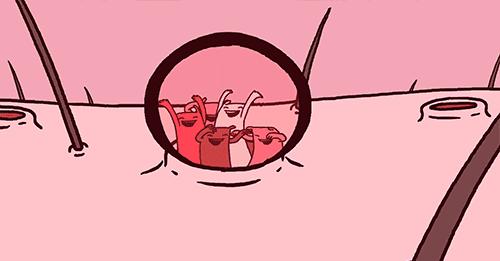 黑头怎么挤不留印子,彻底干掉黑头的方法