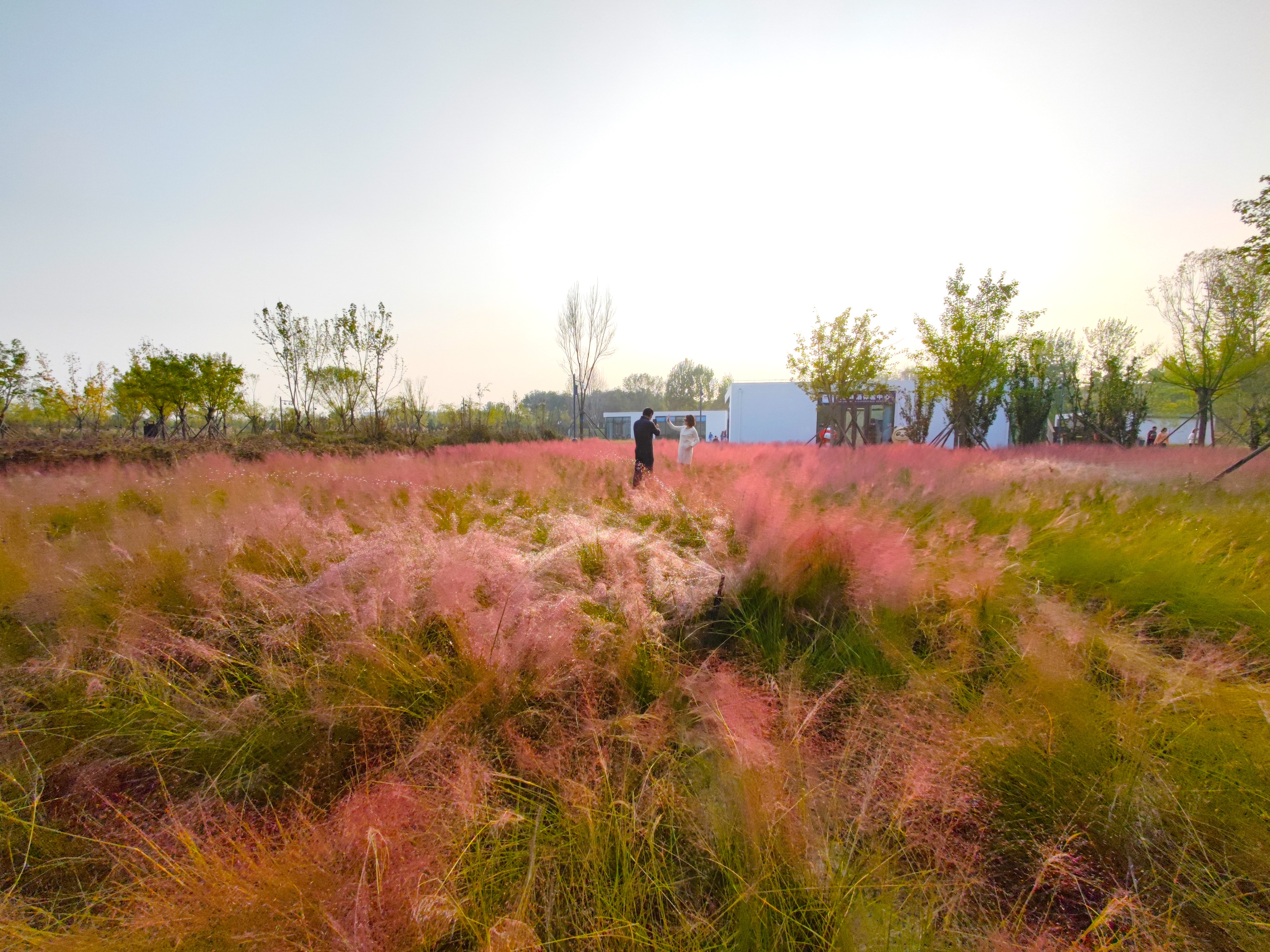 北京最值得去玩的自然风景公园,北京巨型公园免费景点