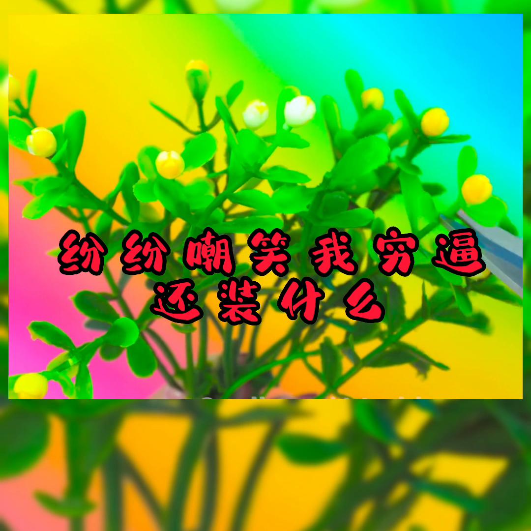 极度舒适的轻音乐,极度舒适助眠