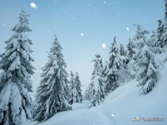 农历十一月十号是什么日子,十一月十一日农历是几号