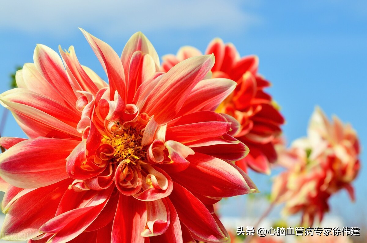 脑梗死后遗症下肢无力如何治疗,脑梗死引起下肢无力护理措施