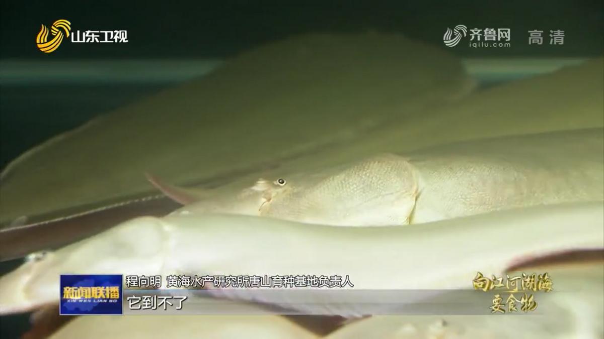 也是有故事的“鱼虾蟹”，看山东怎样向江河湖海要食物