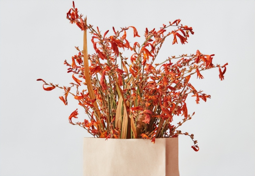 潮漫酒店黑历史,潮漫酒店原来是什么