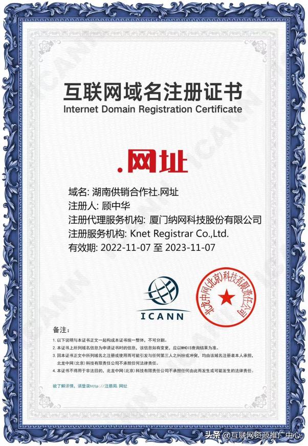 中文顶级域名助力品牌数字化发展,未来中文域名的趋势