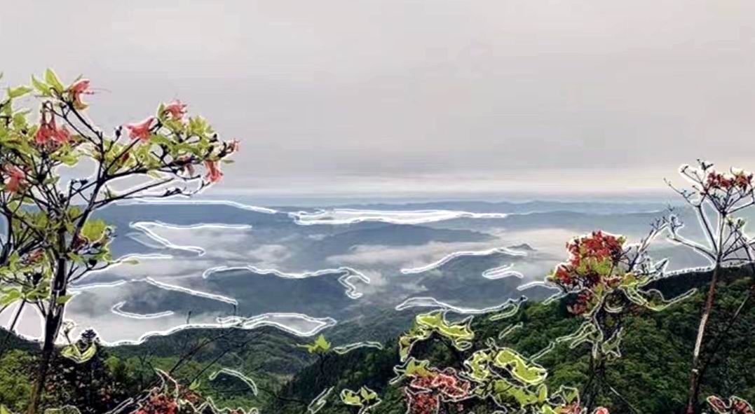 打好“医药代购牌”：长沙康多多乘势而上奏响“振兴曲”