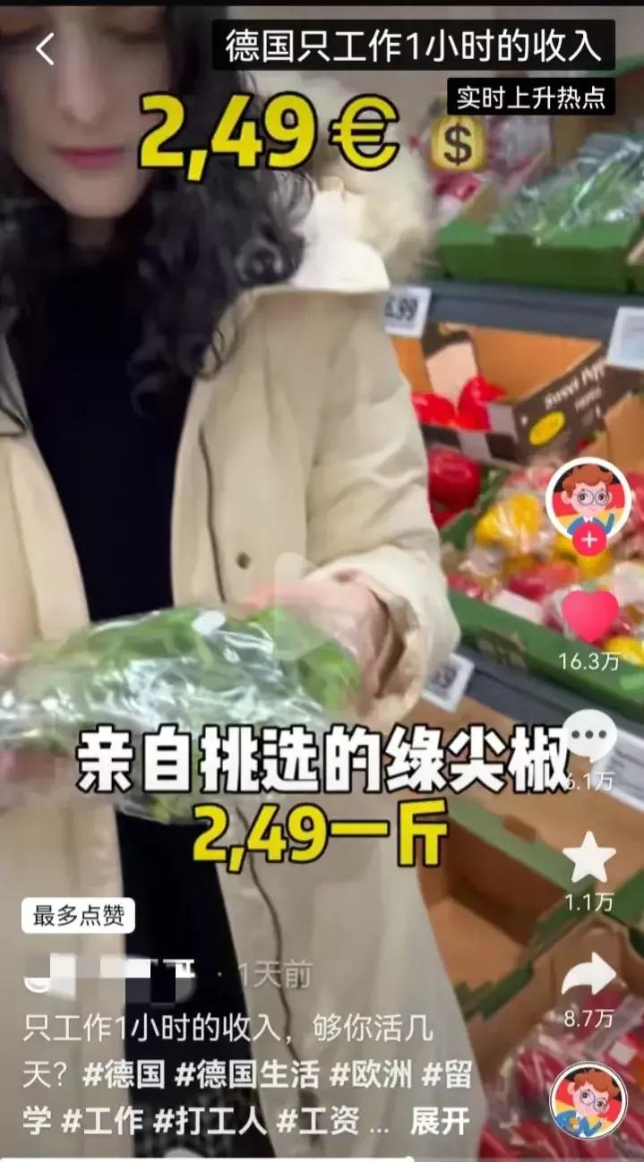 德国最低时薪人民币,德国最低时薪挑战