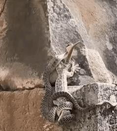 口渴难耐吃什么,口渴快速止渴方法