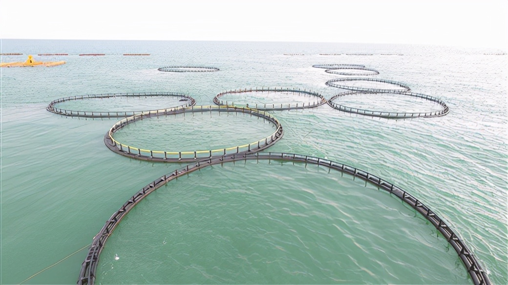 北海现代农业生态园,北海农业种植