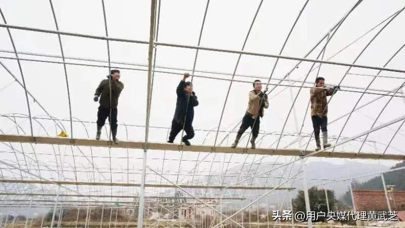 贺嘉伟接好“班”种好“田”