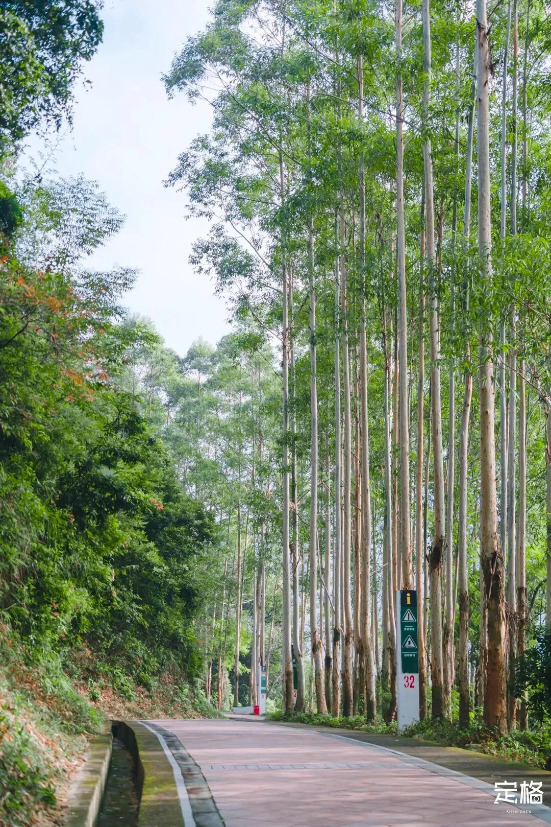 深圳最值得爬的景点,深圳十大最值得爬的山