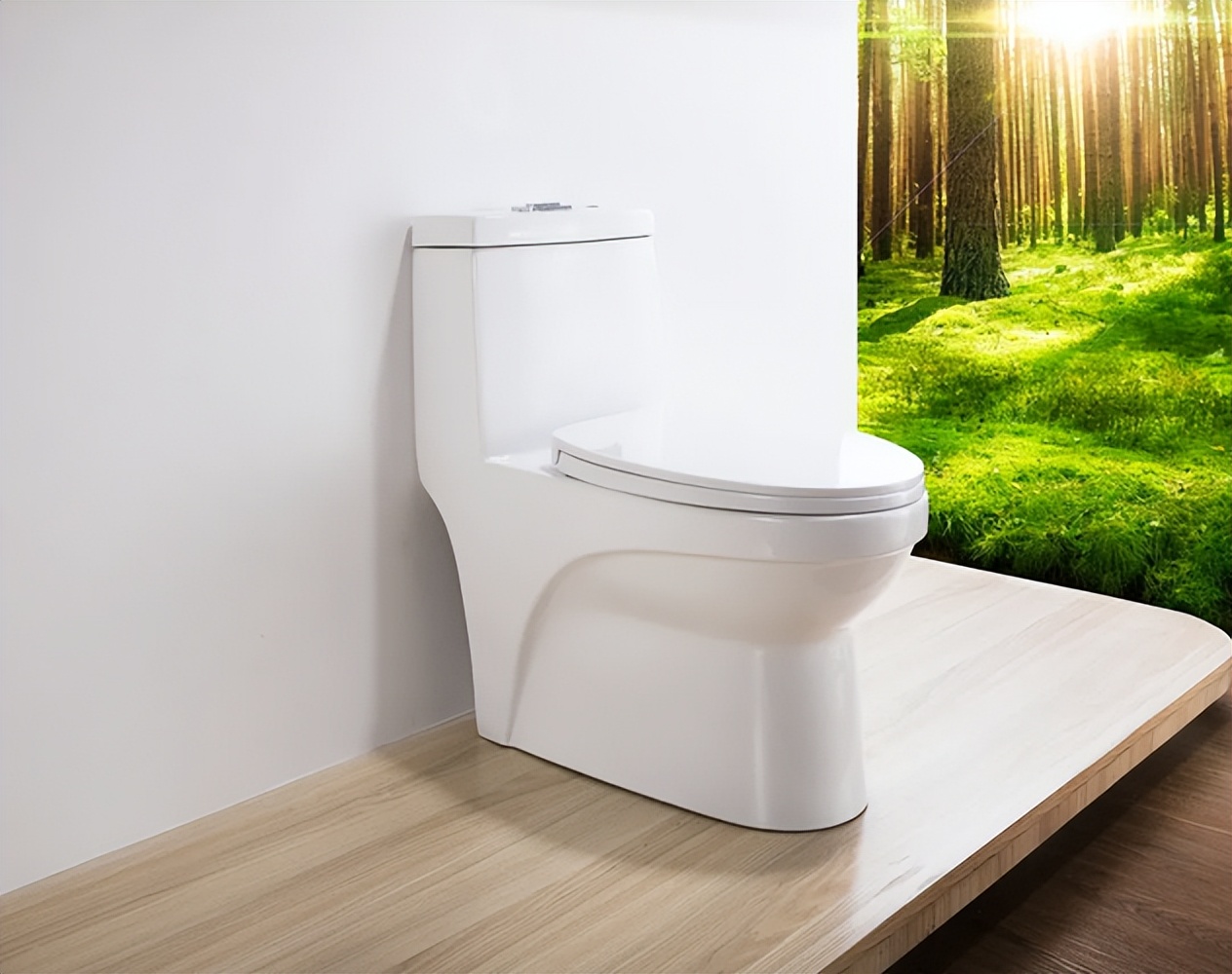 蹲便器和马桶哪个更科学,蹲便器和马桶哪个比较好