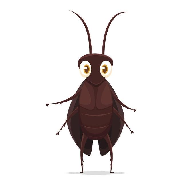 为什么蟑螂的警惕性很强,蟑螂有哪些天敌