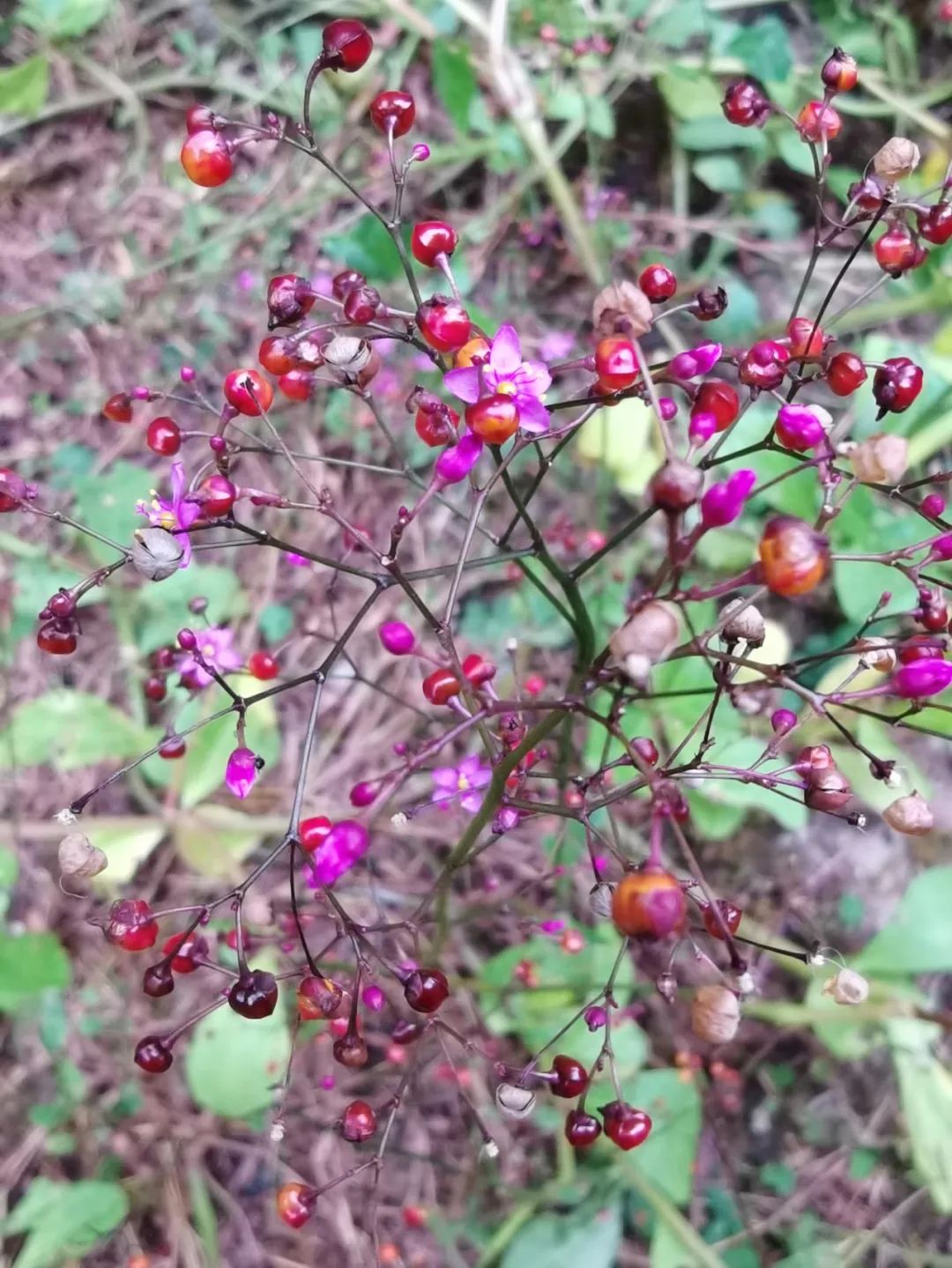 浙西南环游，喜欢龙泉，一座干干净净的山间小城