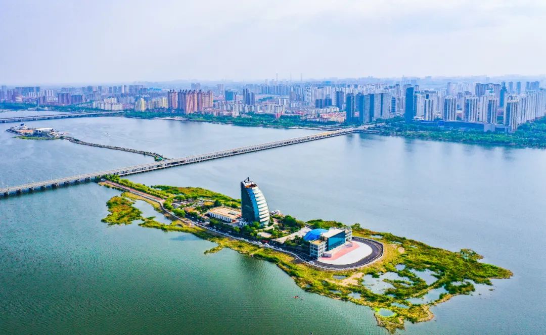 兄弟市淄博喊话山东临沂转一转