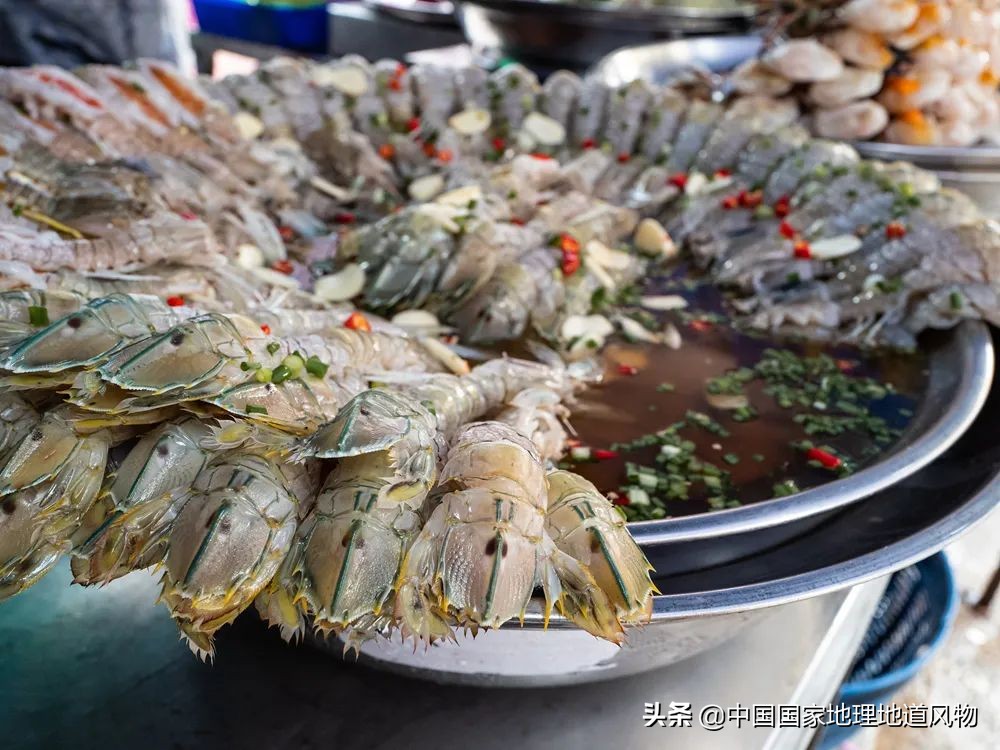 中国吃皮皮虾最好的地方,哪个地方的皮皮虾最好吃