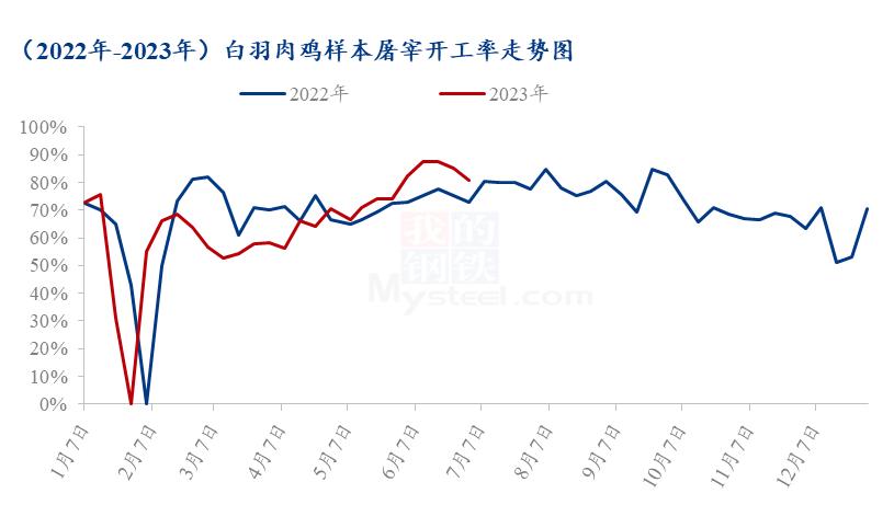 2023白羽肉鸡今后行情分析,白羽肉鸡市场分析