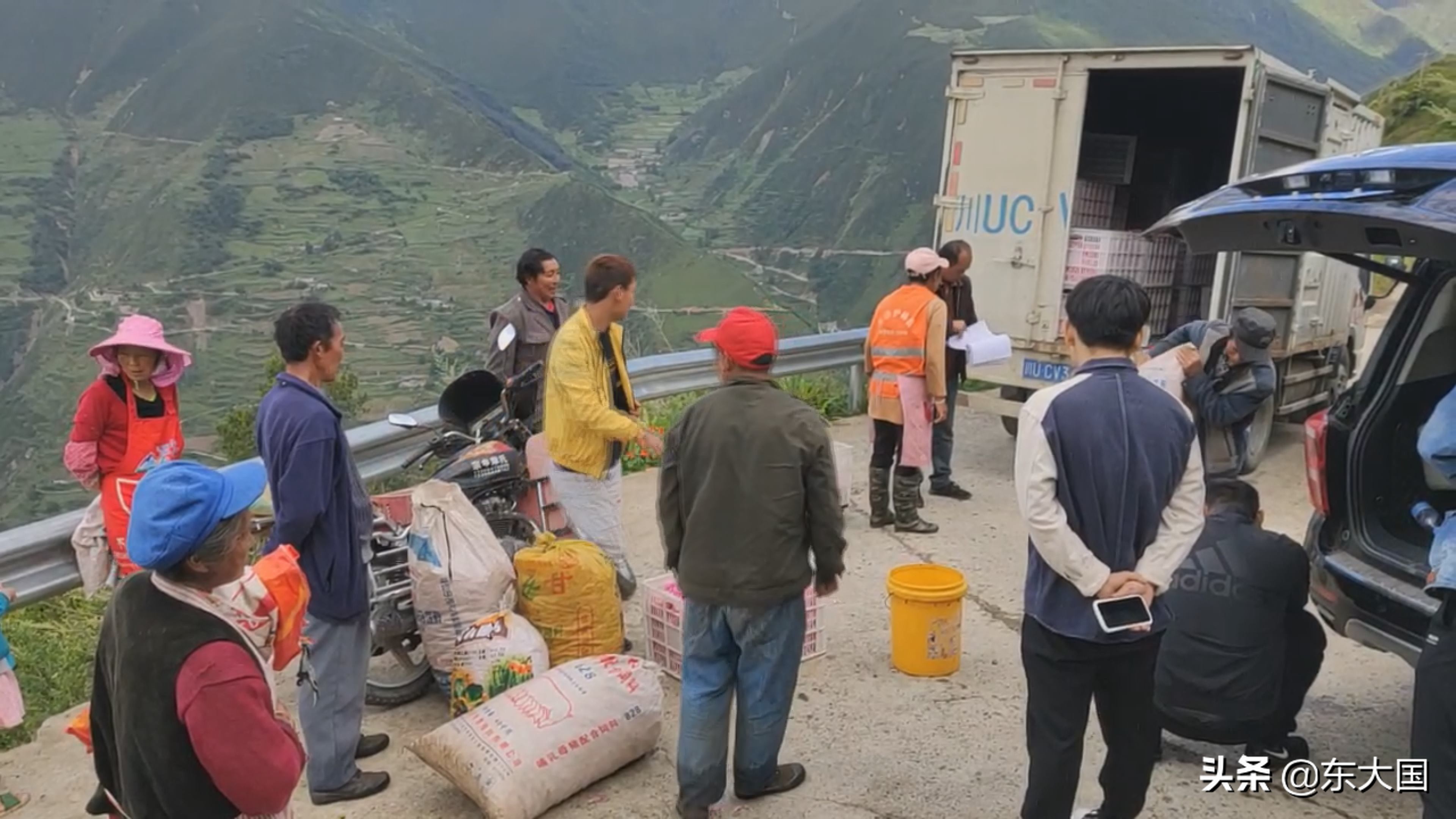 野猪“刺”激来的玫瑰花——玫瑰姐姐和她的美丽经济