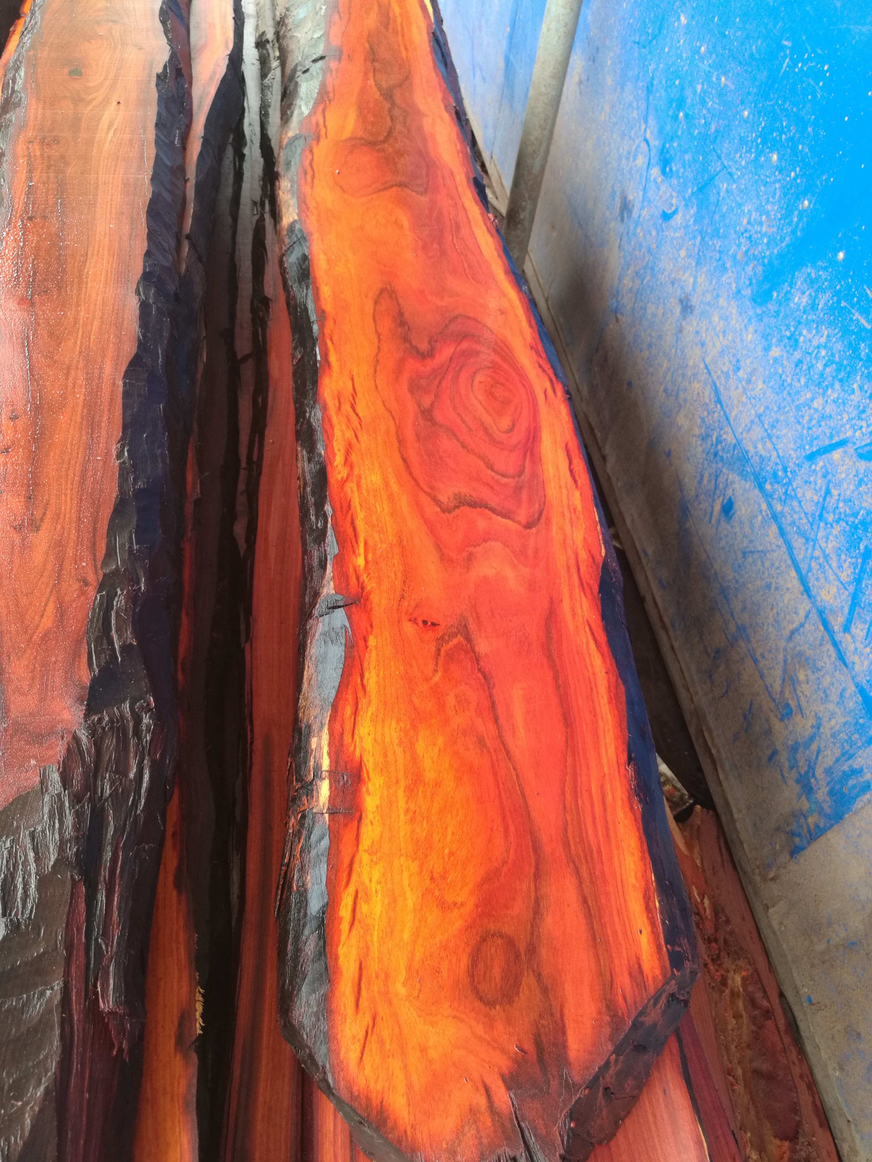 印度小叶紫檀与非洲小叶紫檀的区别