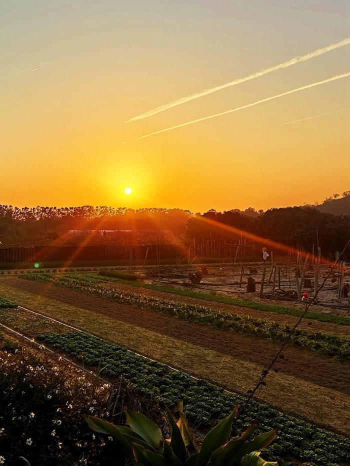福建漳州东山旅游攻略自由行,福建漳州东山岛旅游攻略跟团
