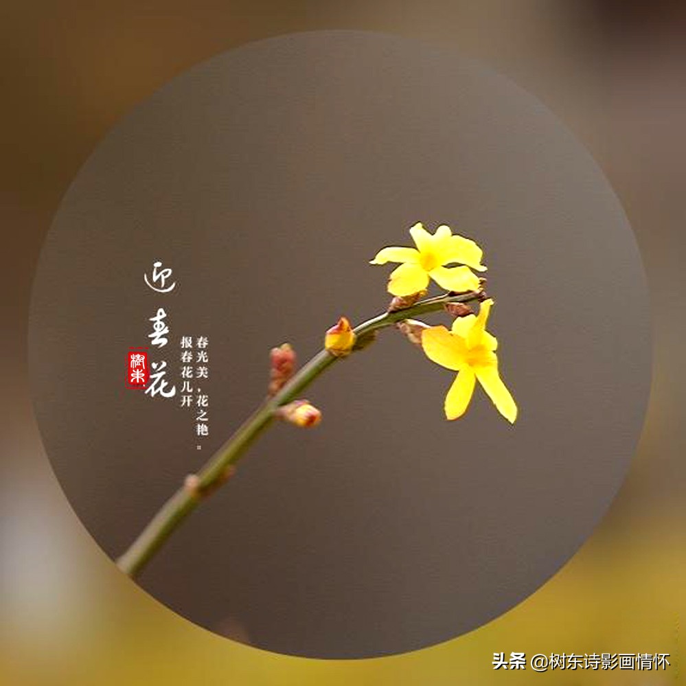 诗词中最美的春天,100句诗词写出最美的春天