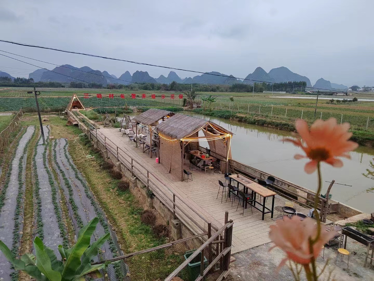 终于知道自己为啥不成功了,终于知道自己为什么不成功了