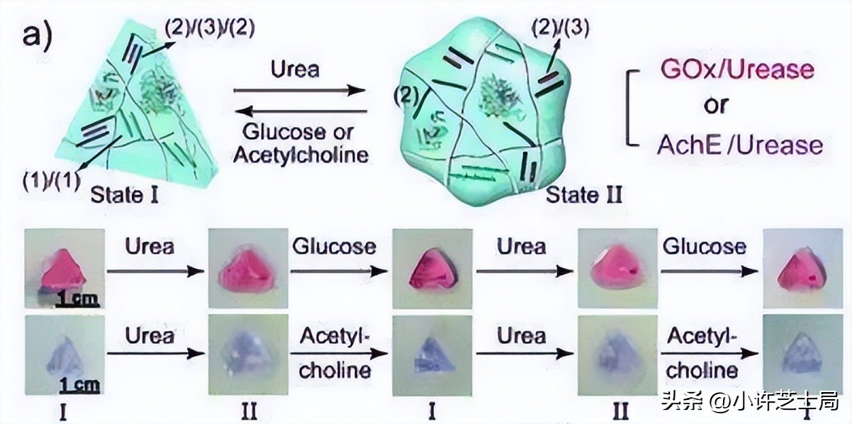 戊唑醇与磷酸二氢钾混用控旺吗,戊唑醇与磷酸二氢钾一起用吗