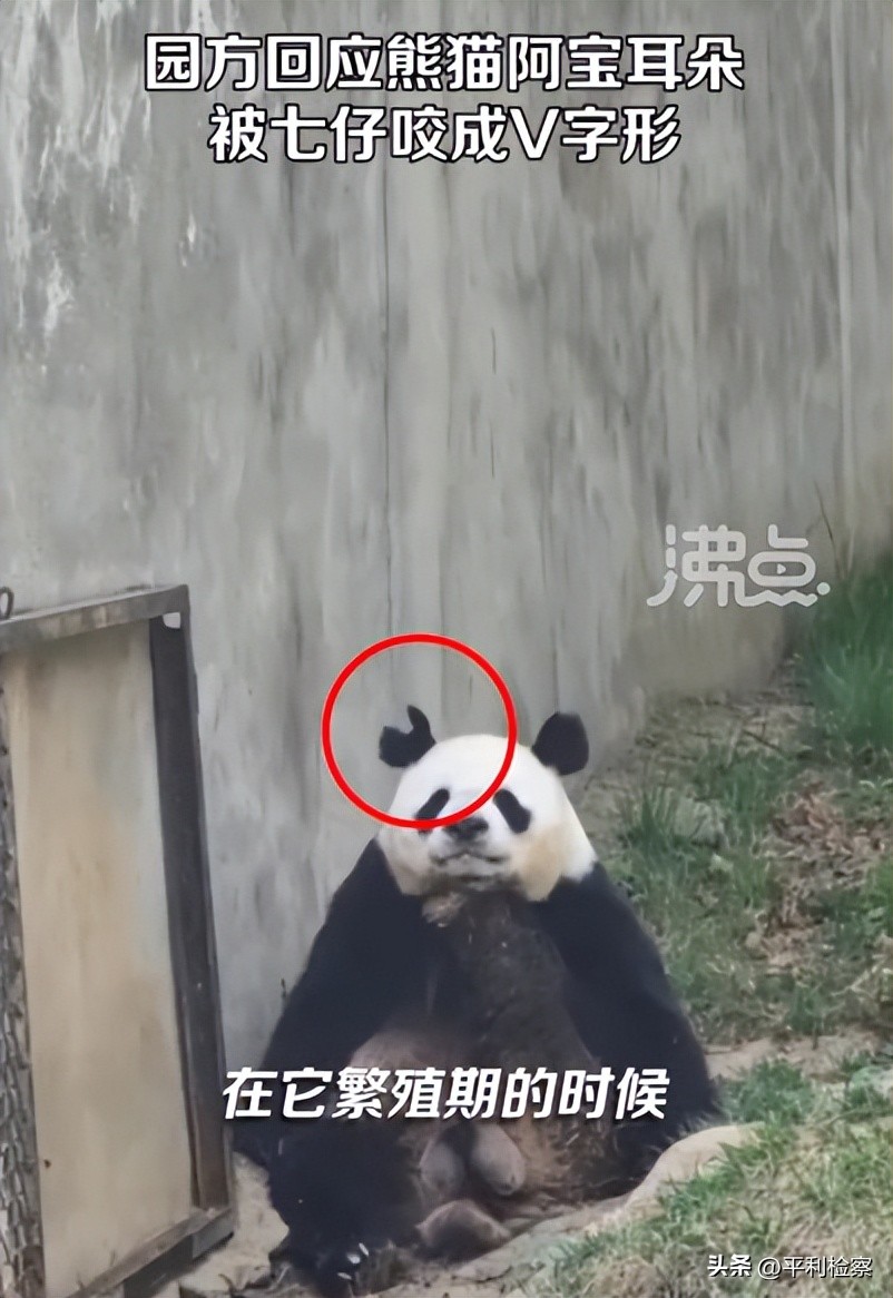 民事热点早知道,法治热点早知道警方通报