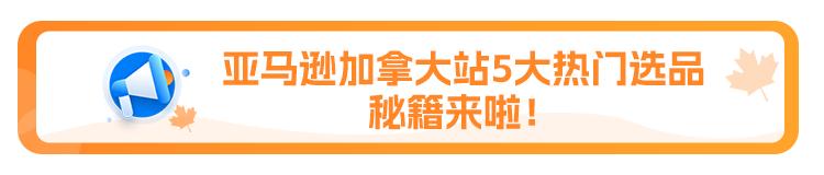 亚马逊加拿大站跟美国站相比,亚马逊加拿大站操作