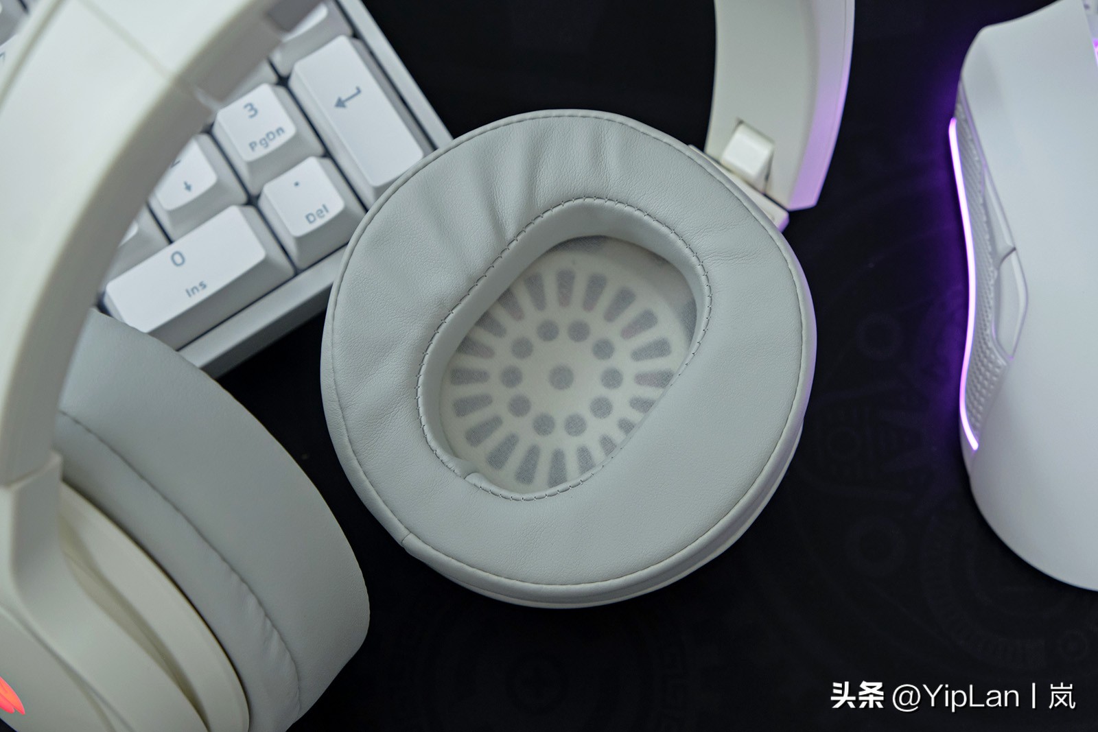 cherry澶栬鎺ㄨ崘,鍞湁淇′话涓嶅彲杈滆礋