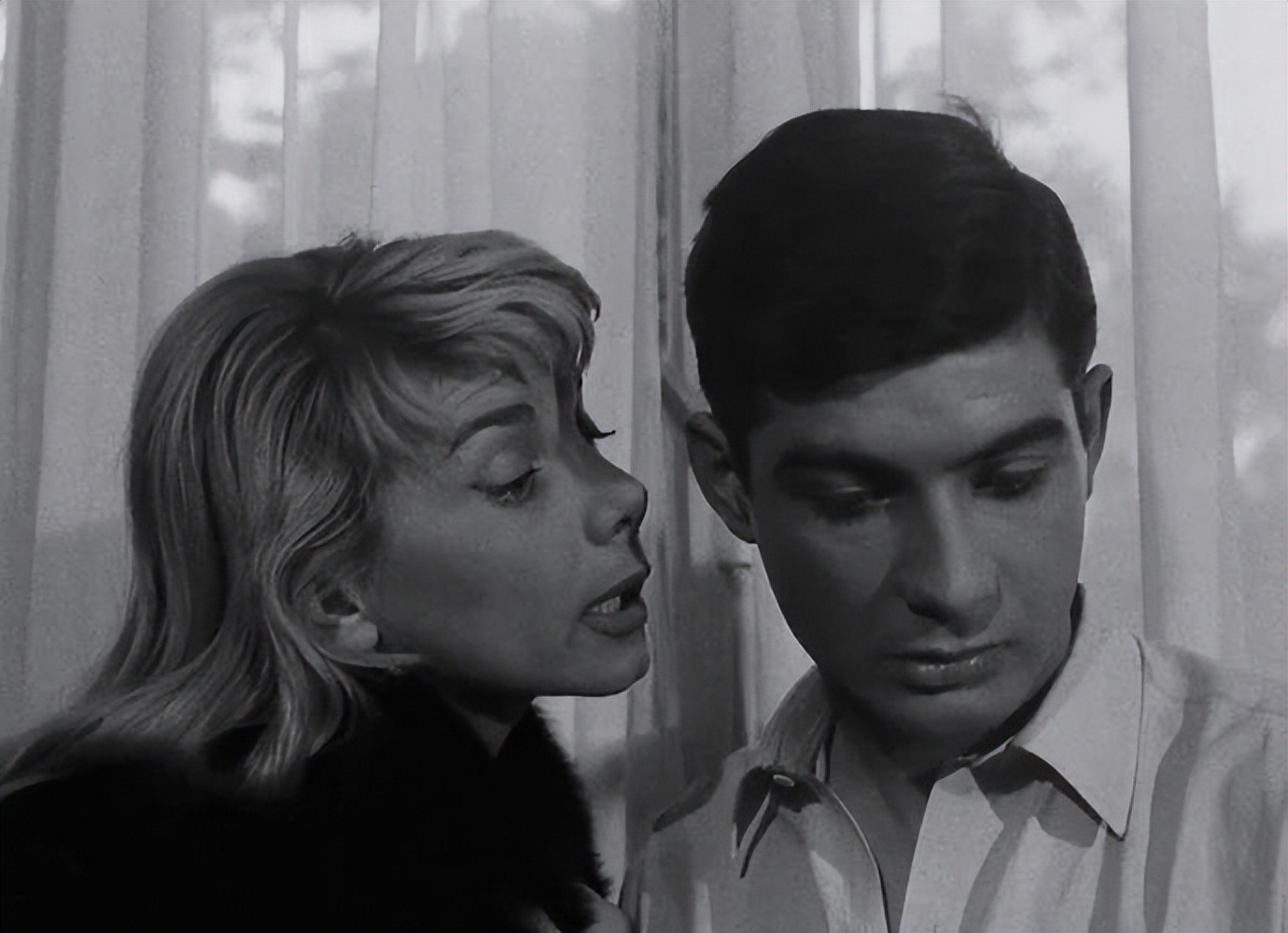 独行杀手深度解析,独行杀手视频完整版