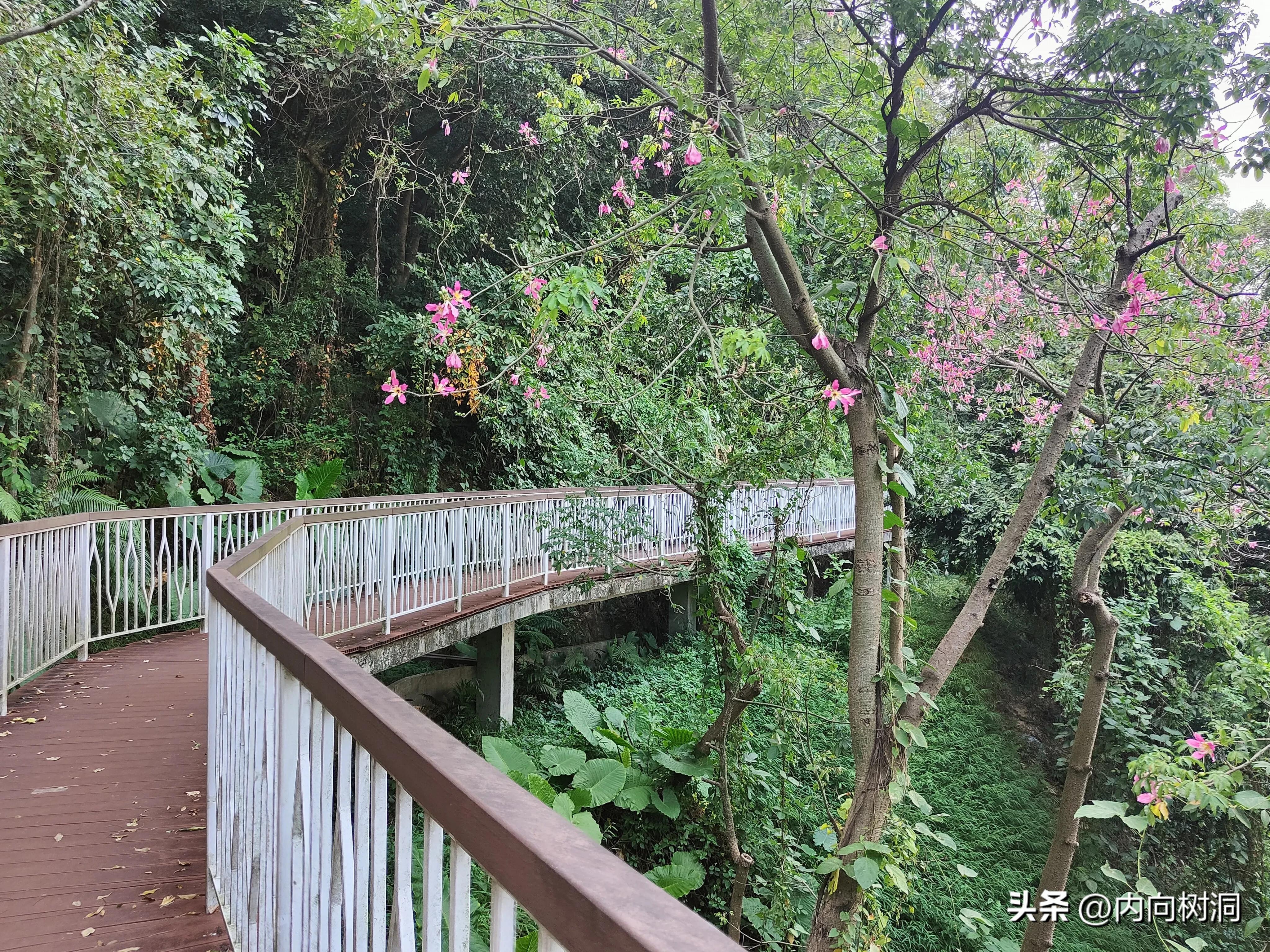 淘金山求水山徒步线路,求水山淘金山绿道在哪里