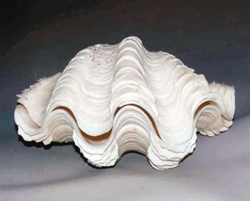 和珅官帽顶珠价值一亿三千多万,和珅怎么可以戴王爷的顶珠