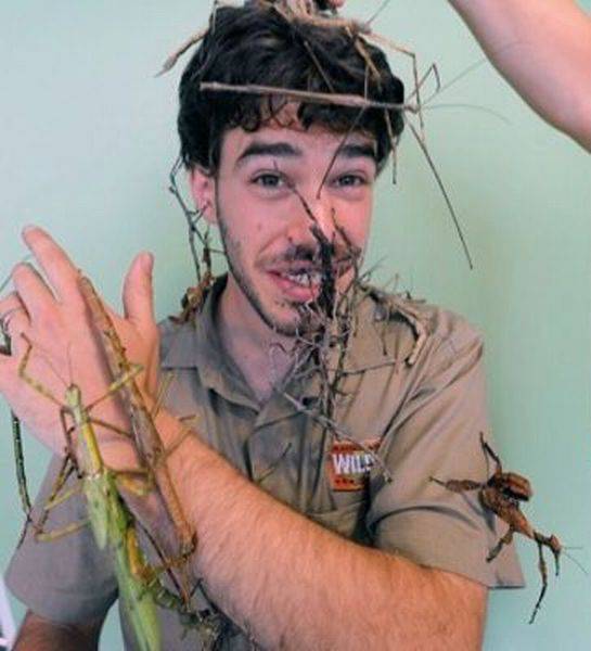 第一个用无人机拍到的鲸鱼,鲸鱼萤火虫