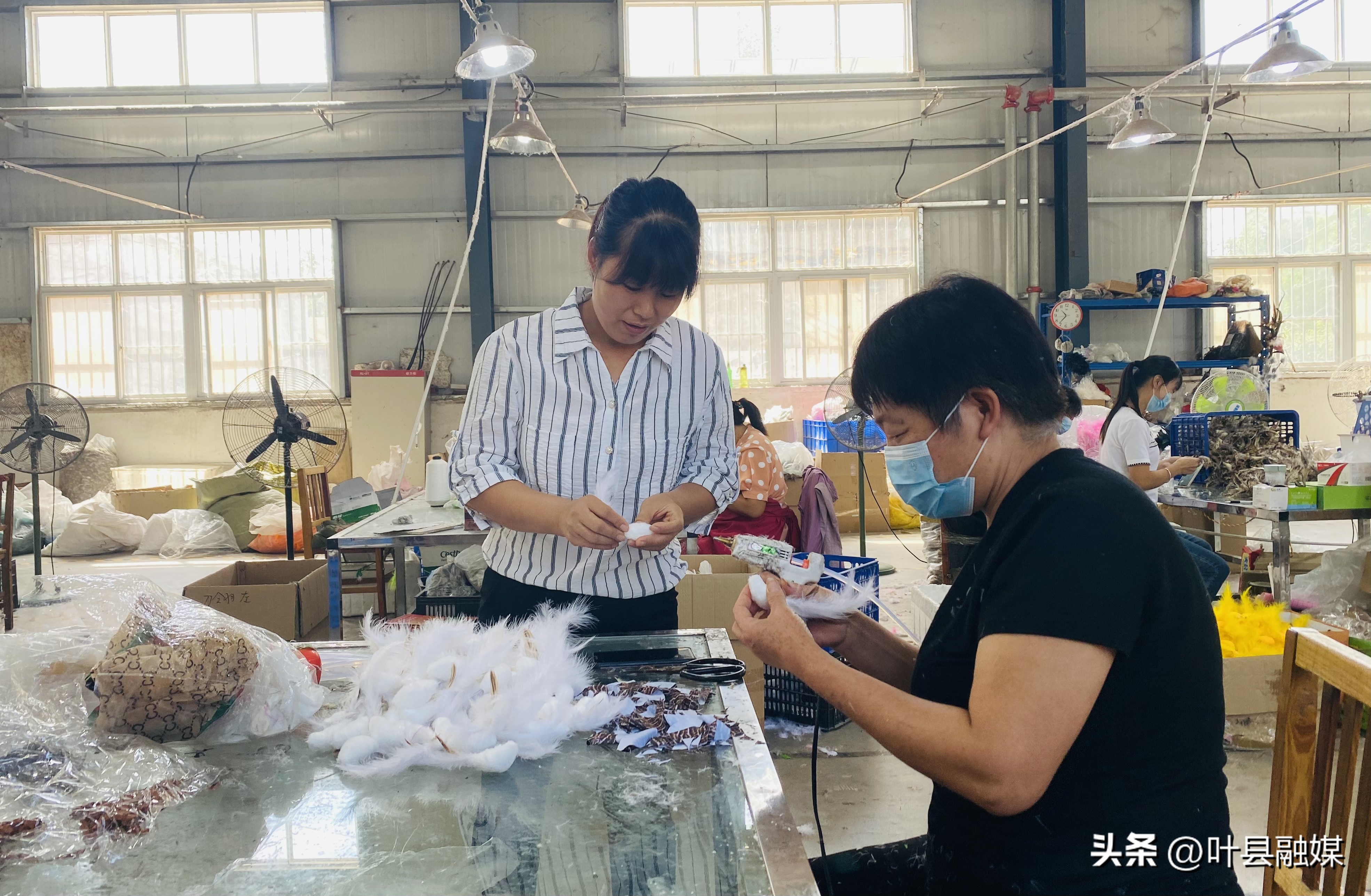 河南叶县：轻羽毛唱红“致富歌”工艺品鼓起“钱袋子”