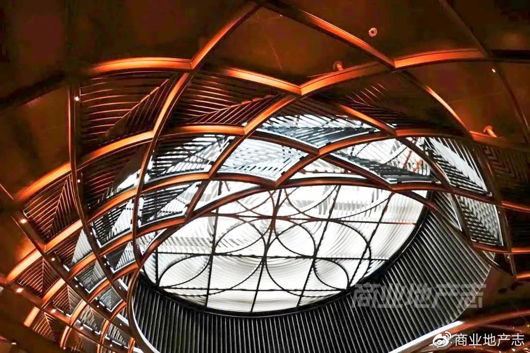 CRR杂谈|HK7日，我与7个香港商业人的深聊记录