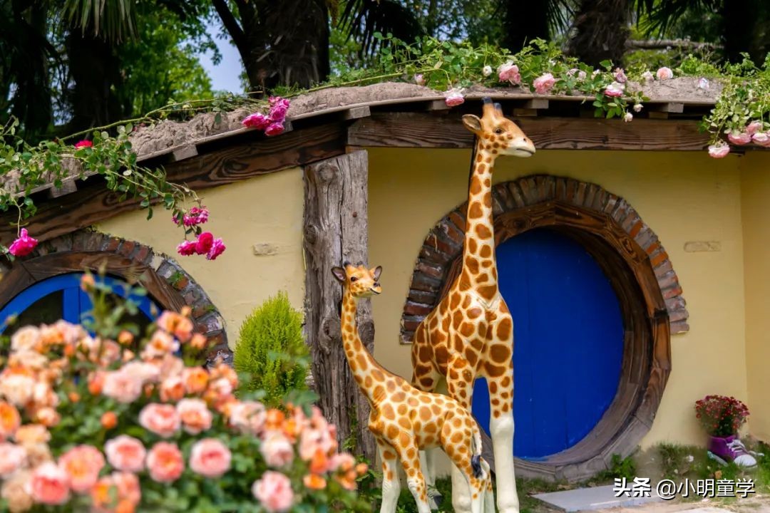 嘉定喜来登酒店,嘉定喜来登旅游攻略