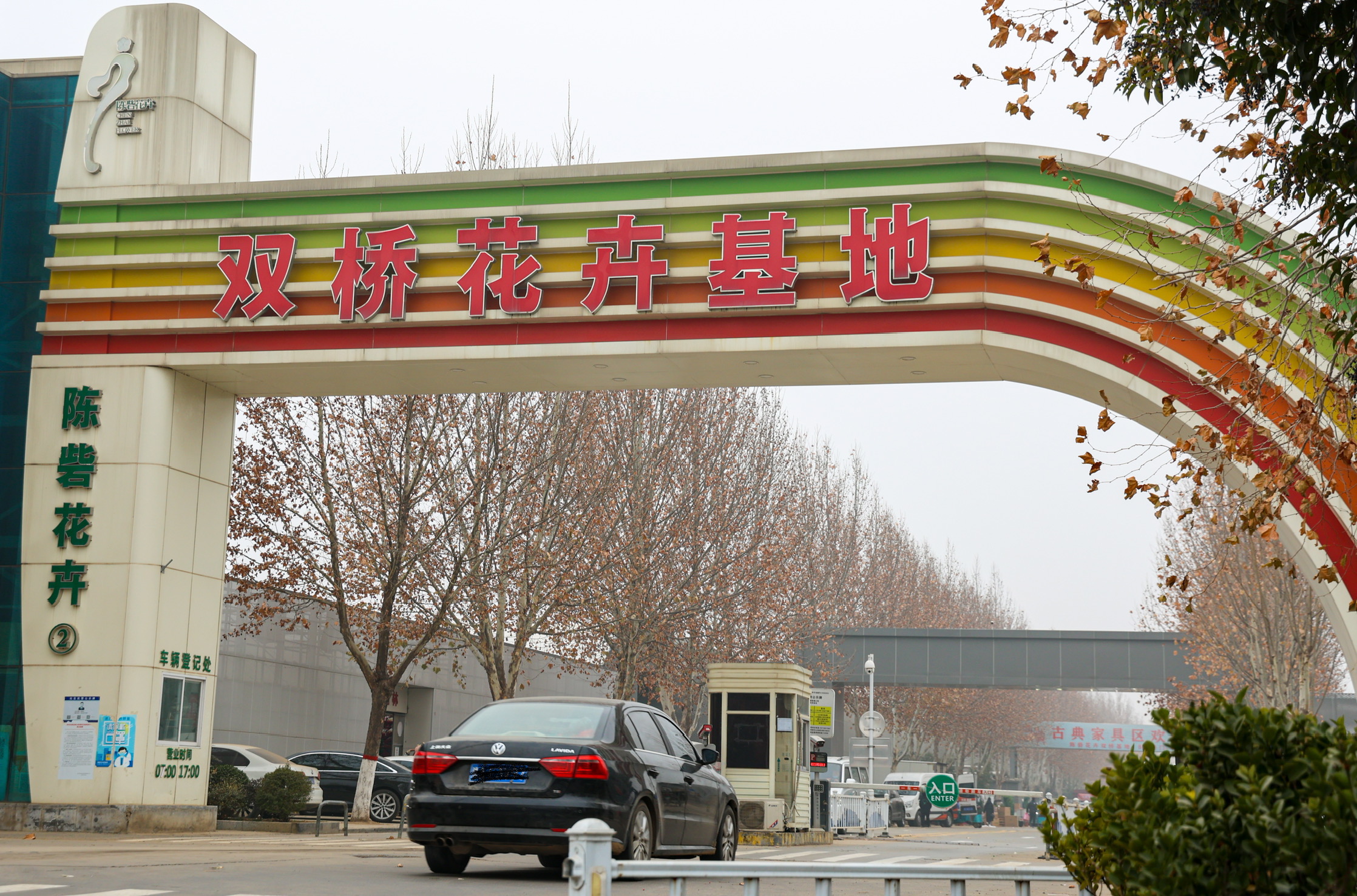 今日花卉市场价格郑州,郑州花卉市场年宵花