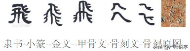 汉字偏旁部首精讲系列十五,汉字偏旁部首名称表最全最完整