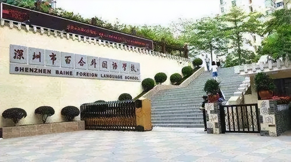 坂田十大学区房,深圳龙岗坂田新盘