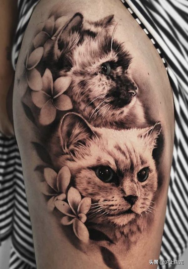 猫咪纹身图案设计,猫咪纹身图片小图案
