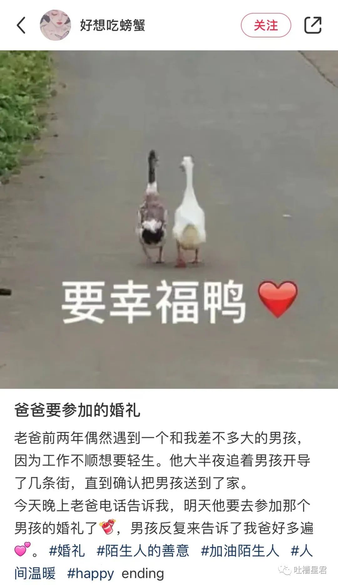 “男友花4200买Prada绿帽子？”网友笑疯：爷可以免费给别人戴