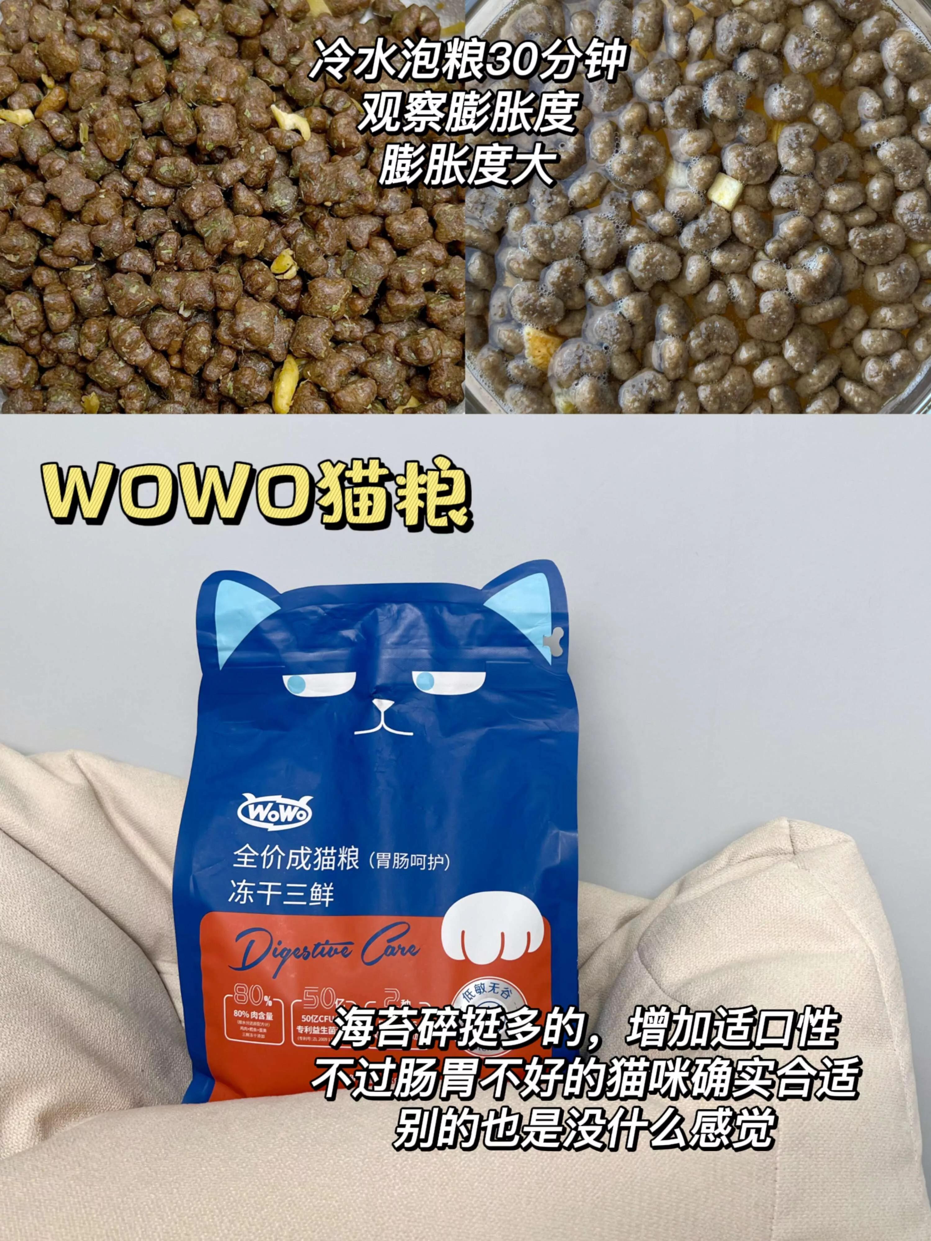 猫咪特别挑食只吃猫粮,买猫粮猫咪中毒